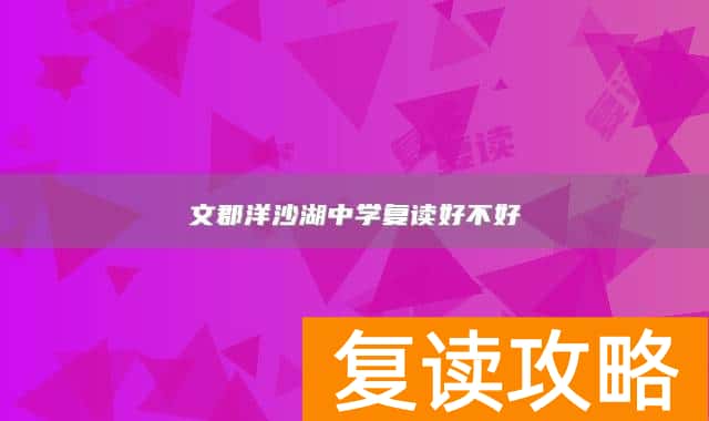 文郡洋沙湖中学复读好不好